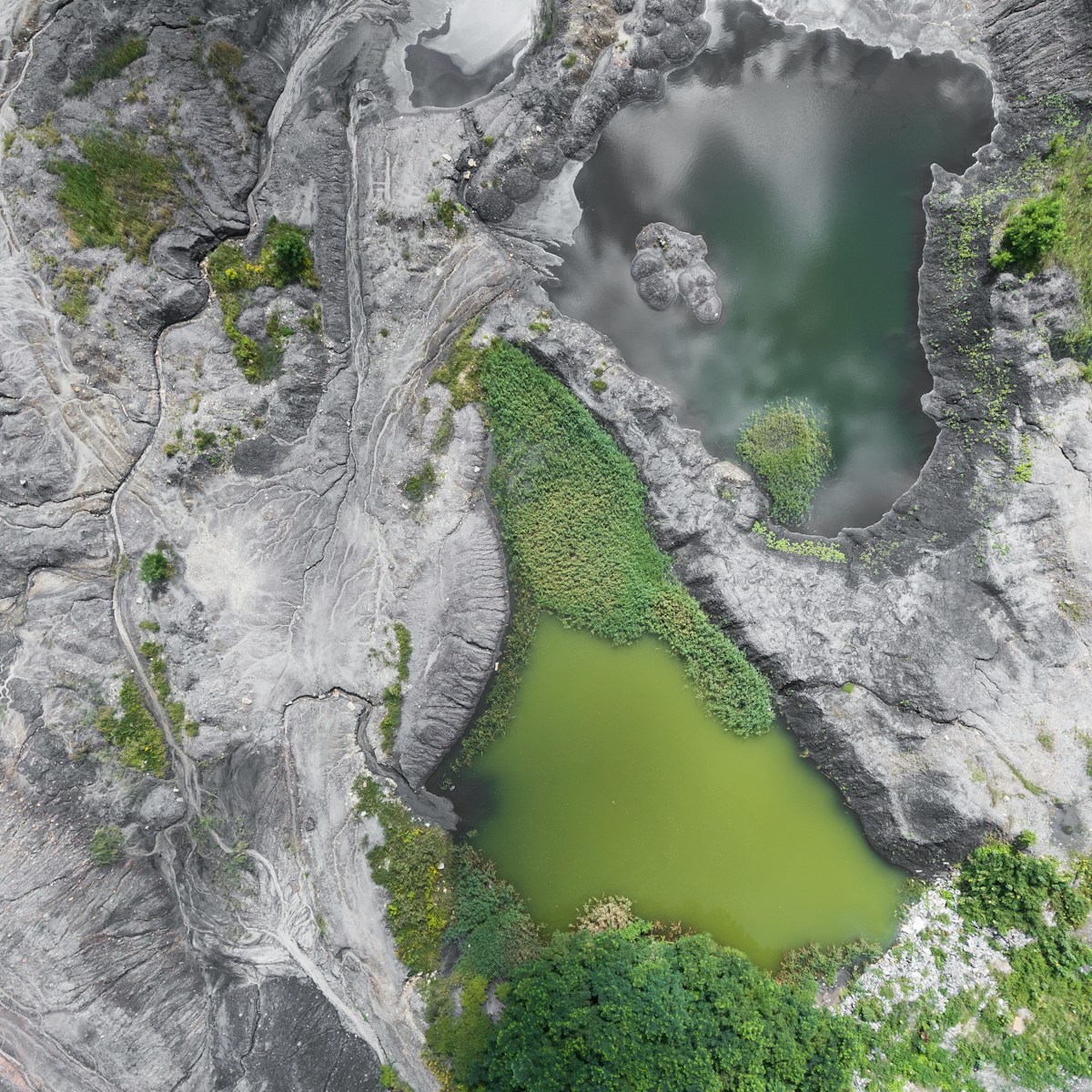 bird's eye photo of mountain surrounded by trees
